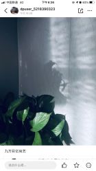 -尚艺造型.剪烫染.接发
