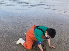 -碣石国家级海洋公园