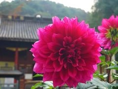 -午潮山国家森林公园