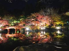 -醍醐寺