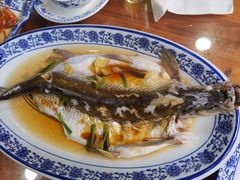 清蒸白水鱼-洞天食府(北大街店)