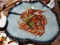 -阿巧茶庄