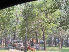 -秦皇岛野生动物园