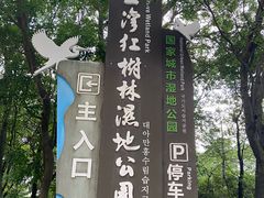 -大亚湾红树林城市湿地公园