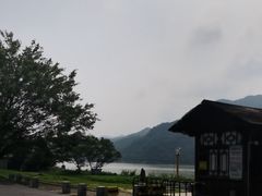 -羚羊峡古栈道森林公园