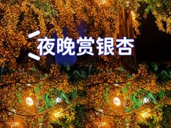 -四川大学(华西校区)