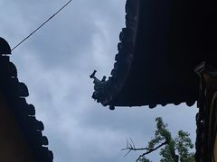 -西园戒幢律寺