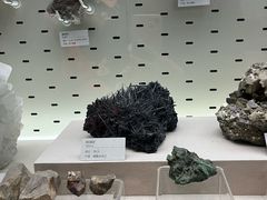 -浙江自然博物院(杭州馆)
