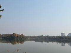 -飞来湖湿地公园