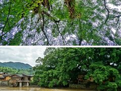 -云水谣景区