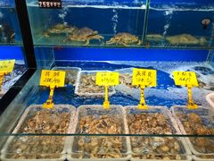 水产区-溏心风鲍港式打边炉(余英坊店)