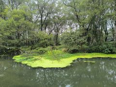-西溪南古村落
