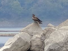 -千岛湖湖人皮划艇俱乐部