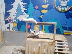 -海合安青岛极地海洋公园