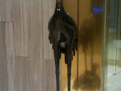 android_upload_pic-云粤楼中餐厅(昆明中心假日酒店)