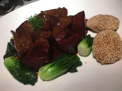 红烧肉焖鱼唇-苏浙总会(国金中心店)