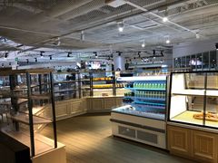 面包甜点陈列柜-阿那亚第一食堂 Cafeteria 1