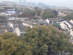 -顽啤熊·酒客酒馆(苏城夜景必选店)