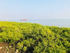 -滨海公园
