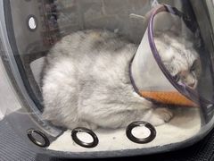 -宠颐生动物医院·小陆分院