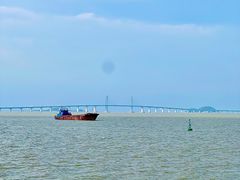 -澳门环岛游湾仔码头