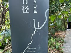-广州市帽峰山景区