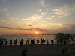 -宝安西湾红树林湿地公园