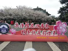 -武汉大学-樱园