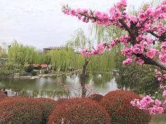 -鹦鹉寺公园