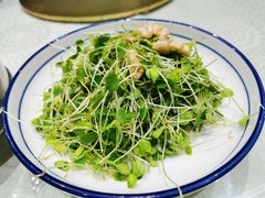 香椿苗桃仁-大永徽·传统徽菜