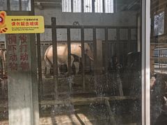 -保定市动物园