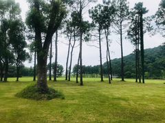 -柯岩风景区