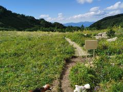 -白草畔自然风景区