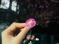 -七欣天香辣蟹火锅(闵行浦江欢乐颂店)