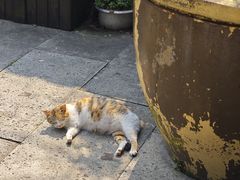 -梦姑塘文化公园