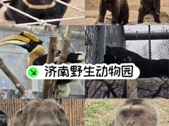 -济南野生动物世界