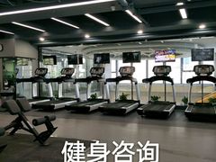 -金吉鸟健身游泳