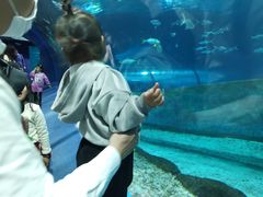 -福州罗源湾海洋世界旅游区