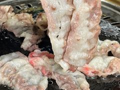 -杨小佳·齐齐哈尔烤肉·烤串(广州店)