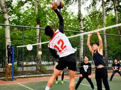-中央民族大学