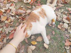 -华东政法大学(松江校区)