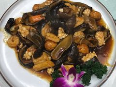 葱烧海参全家福-双井轩(双井店)