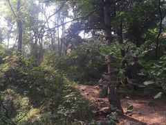 -封龙山风景区