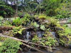 -深圳仙湖植物园