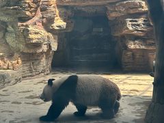 -石家庄市动物园