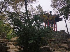 -莲湖公园