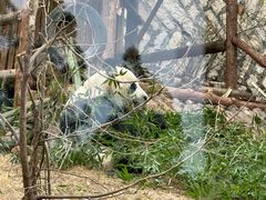 -泉州海丝野生动物世界