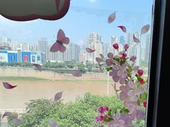 -李子坝梁山鸡(李子坝大鸡哥店)