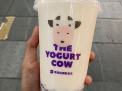 -一只酸奶牛(八一路店)