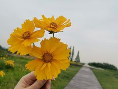 -良渚古城遗址公园